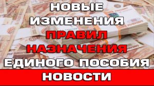Новые изменения правил назначения Единого пособия 2026 Новости