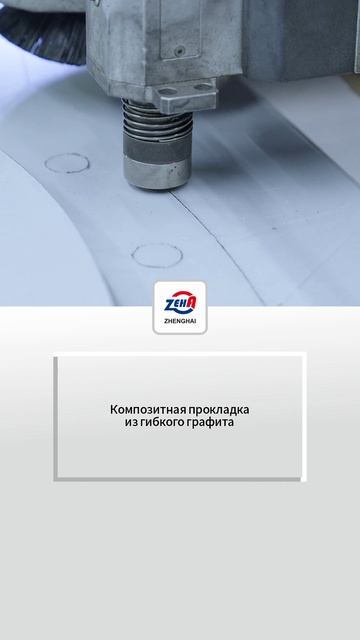 Армированная композитная прокладка из гибкого графит-ZHENGHAI SEAL-1