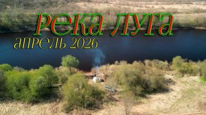 Луга. Жабино.