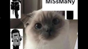 Сходка 👉💗👈сегодня в 17:30❤💓