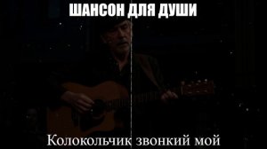 ШАНСОН |Колокольчик звонкий мой|ШАНСОН ДЛЯ ДУШИ