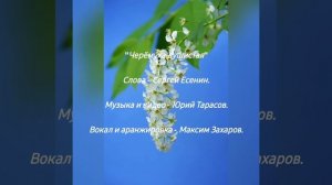 Черёмуха душистая 🍇