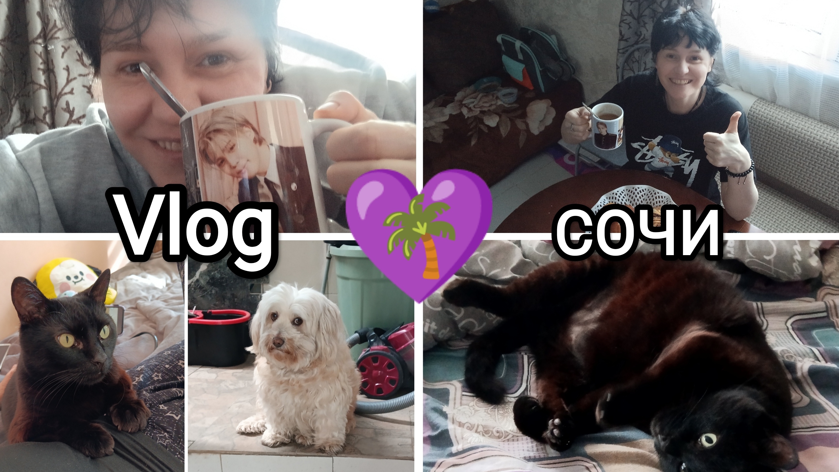 💜228🌴Vlog МОИ БУДНИ😊😼Сочи, я вернулась😊🌴новая квартира🧳Моня🐶домашние дела🧹🧺