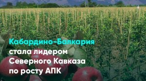 Кабардино-Балкария стала лидером Северного Кавказа по росту АПК
