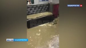 В Уфе магазин виниловых пластинок утонул в нечистотах