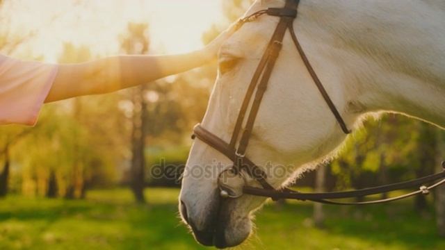 Призрак надежды