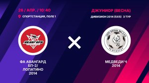 ФА Авангард БП-2/Лопатино 2014 - Медведи Ч 2014