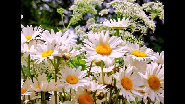 Библия и жизнь. Моя аудиокнига. Часть № 132