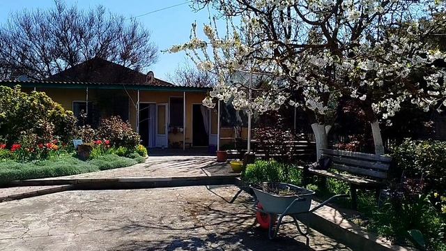 весна во дворе ,апрель 2026