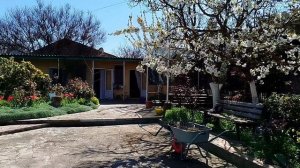 весна во дворе ,апрель 2026