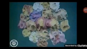 Going through and gefw