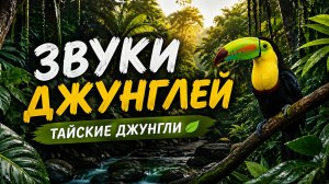 Звуки тайских джунглей 🌿 Пение экзотических птиц | Настоящий тропический лес