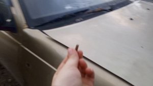 НЕКСИ