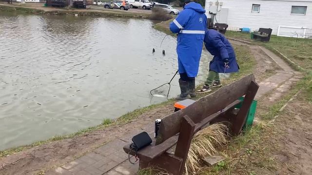 поимка форели на спиннинг