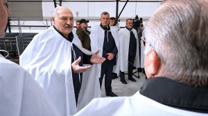 Лукашенко поручил построить дешевые и технологичные животноводческие комплексы