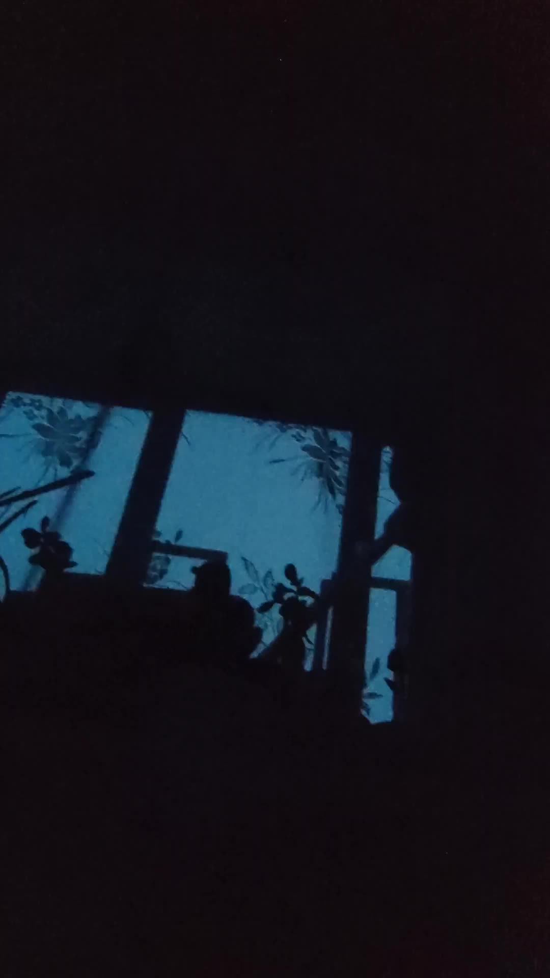 вопросы и ответы