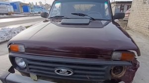 нива