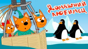 Три Кота. Игра Для Детей