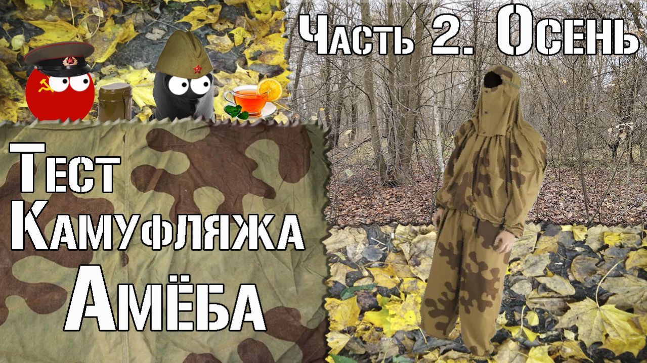 Тест камуфляжа Амёба. Часть 2. Осень