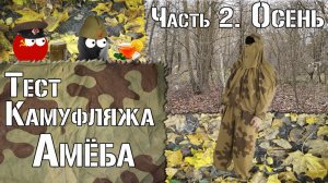 Тест камуфляжа Амёба. Часть 2. Осень