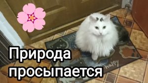 26-04-2026. Природа просыпается.
