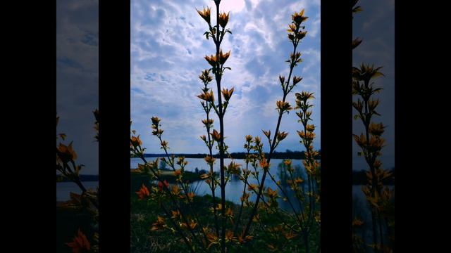 Мое утро (26 апреля)