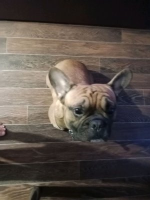 играю в Fortnite Lego