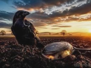 27 апреля - Мартын Лисогон. Традиции и народные приметы