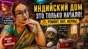 Ремонт в индийском доме доводит до предела, а тут ещё кот… с ним что-то не так