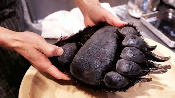 медвежья лапа. японская уличная еда. Токио