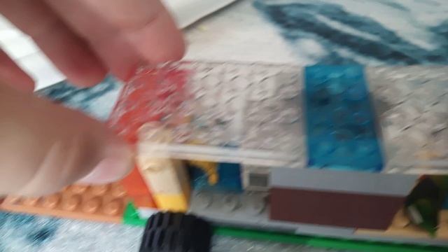 неудачная поездека попугаев