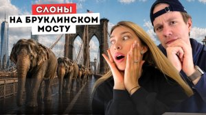 Почему люди боялись Бруклинского моста и что нас ждало в Гуггенхайме