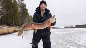 Трофейная щука весна 2026