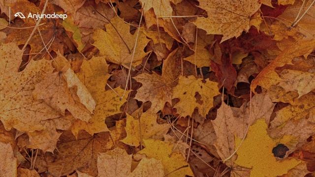 'Autumn Organic House' presented by Anjunadeep