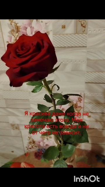 Не случайно случайно подобранные аффирмации для женщины.