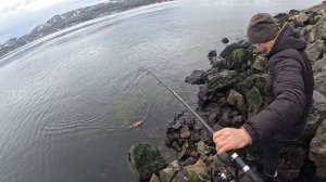 #баренцевоморе///залив.размочили спиннинги)))