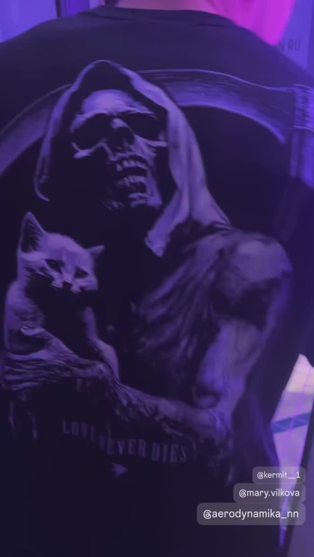 Крэш и Эдди ЧПФО по парашютному спорту в дисциплине VFS AAB2 класс inter 23-26.04.2026