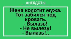 Жена колотит мужа. Тот забился под кровать.... | Анекдоты смешные | Юмор