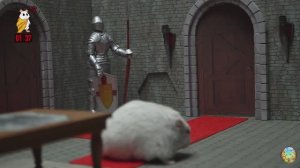 Приключение хомячка в поисках сокровищ — незабываемое приключение! часть 3