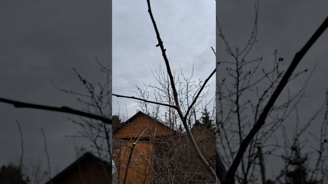 Обрезка яблони