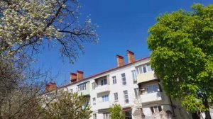 Погода сегодня на Жён  Мироносиц!  26.04.2026