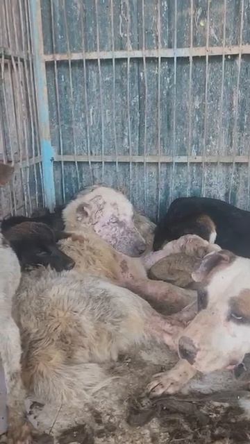 Помогаю информационно!
УЗБЕКИСТАН!!! Усыпалка!!
Пост от 25.04.26

Москва, Питер и все города