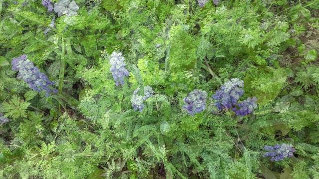 💧🌿🗓️Ижевск, Буммаш: майский родник