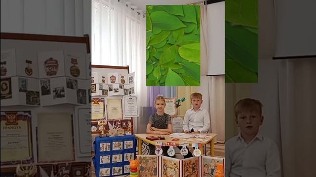 За труд не бьют, а награды дают.