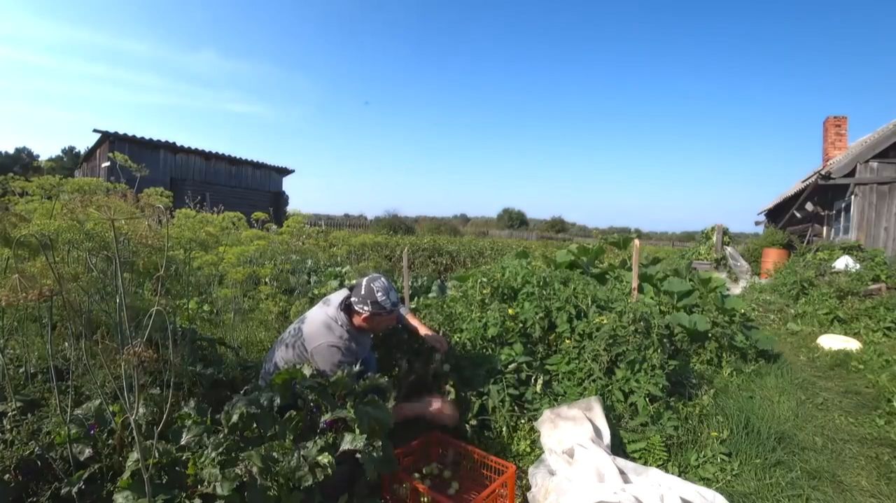 МНЕ ГОВОРИЛИ КАКОЙ ТЕБЕ ОГОРОД, ЕЗЖАЙ ЛУЧШЕ РАБОТАТЬ В ГОРОД!