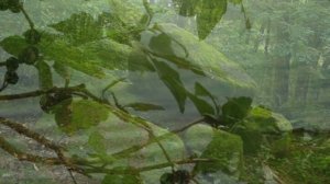 Душа России... Галина Погорельская