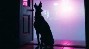 Афина на страже.