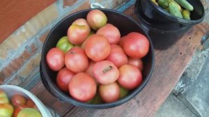 6 соток Август часть-3