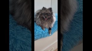 как изменился мой Каспер