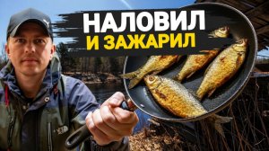 Один на реке. Рыба клюёт на каждом забросе. Костёр и жареный елец.